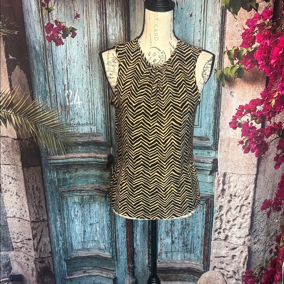 Chaps Tops - Chaps petite brown and black sleeveless blouse, size Petite medium, GUC